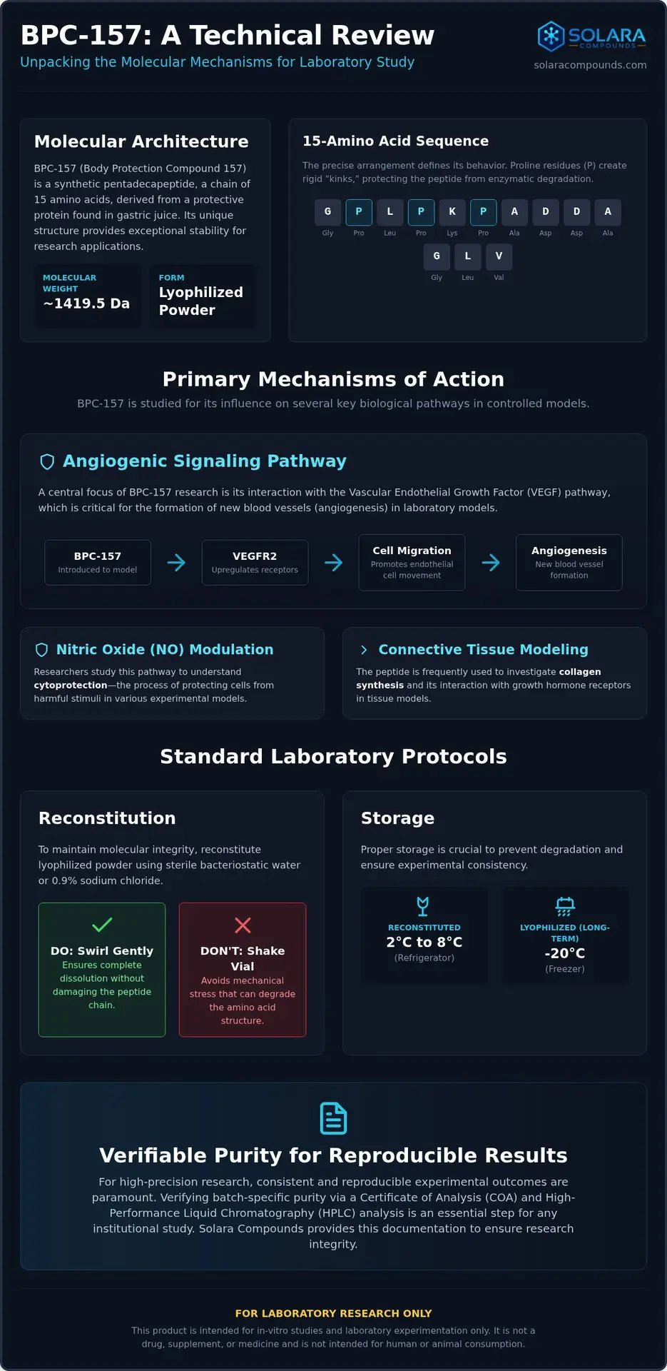 BPC-157 Mechanism of Action: A Comprehensive Technical Review for Researchers