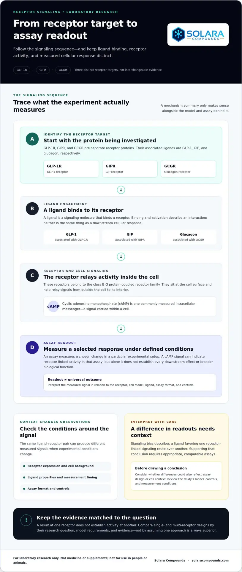 GLP-1/GIP/Glucagon Receptor Research: Pathways, Models, and Methods